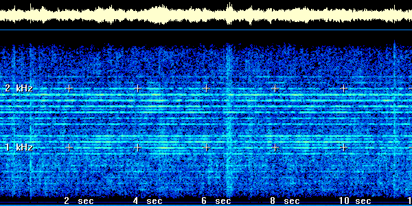 Spectrogram of the Siganl