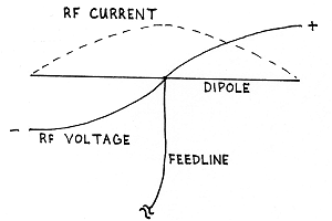 The Dipole