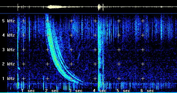 VLF Spectrogram